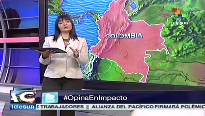 Paran ganaderos colombianos arruinados por línea en comercio exterior