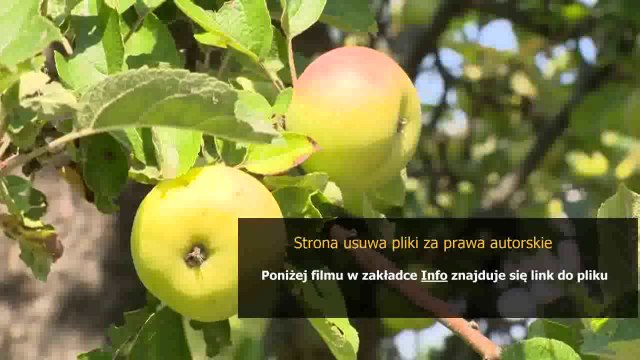 domowe sposoby na rybiki