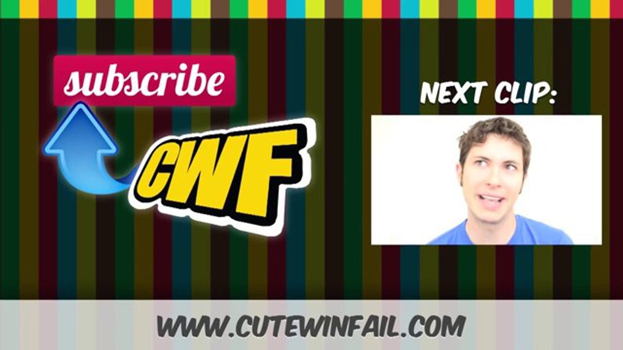 Diese Katze liebt Lollipops