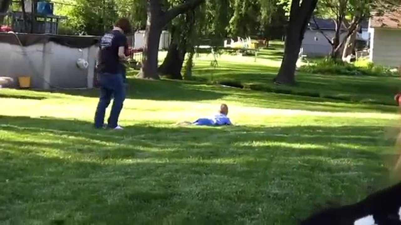 Diese Tiere wollen nur Spaß haben