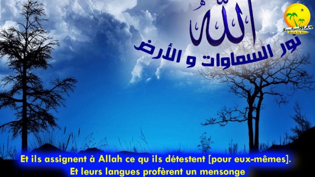 Très belle récitation de Sourate An-Nahl (Les Abeilles). Shikh Shirzad Abd Alrahman (شيرزاد عبد الرحمن). Versets 56-62