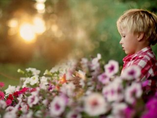 صور رائعة مع موسيقى لفيروز