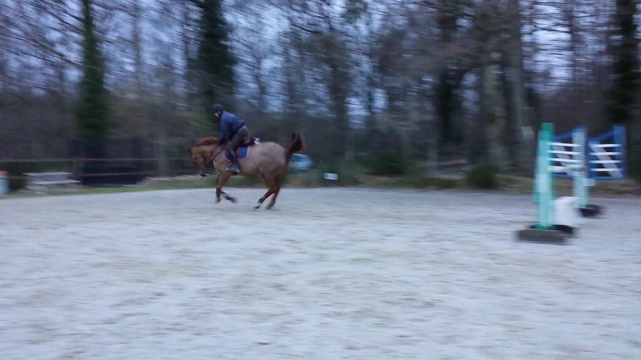 Narcisse entrainement 1