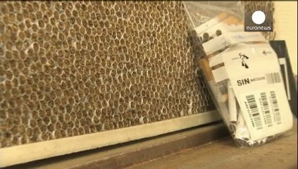 Pays-Bas : les fausses cigarettes partiront en fumée