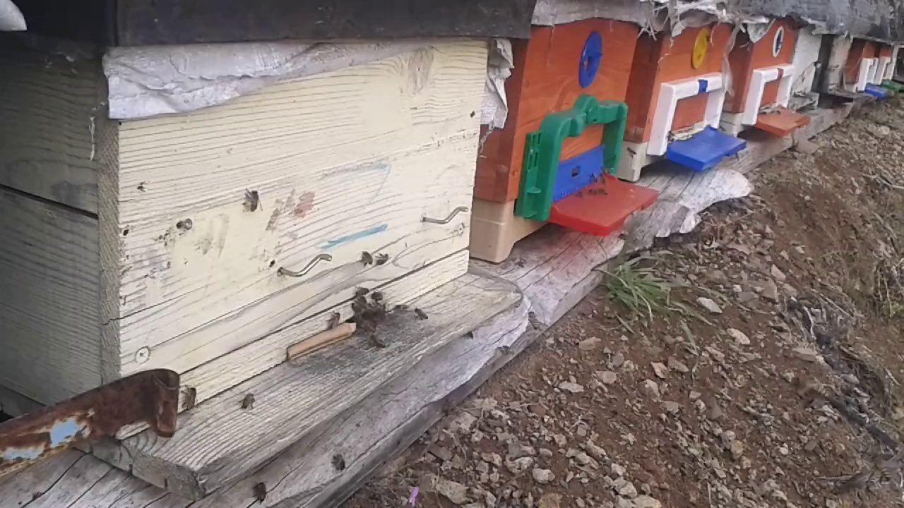 10 şubat çalışma