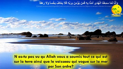 Superbe récitation de Sourate Al-Hajj (Le Pèlerinage). Shikh Shirzad Abd Alrahman (شيرزاد عبد الرحمن). Versets 56-66