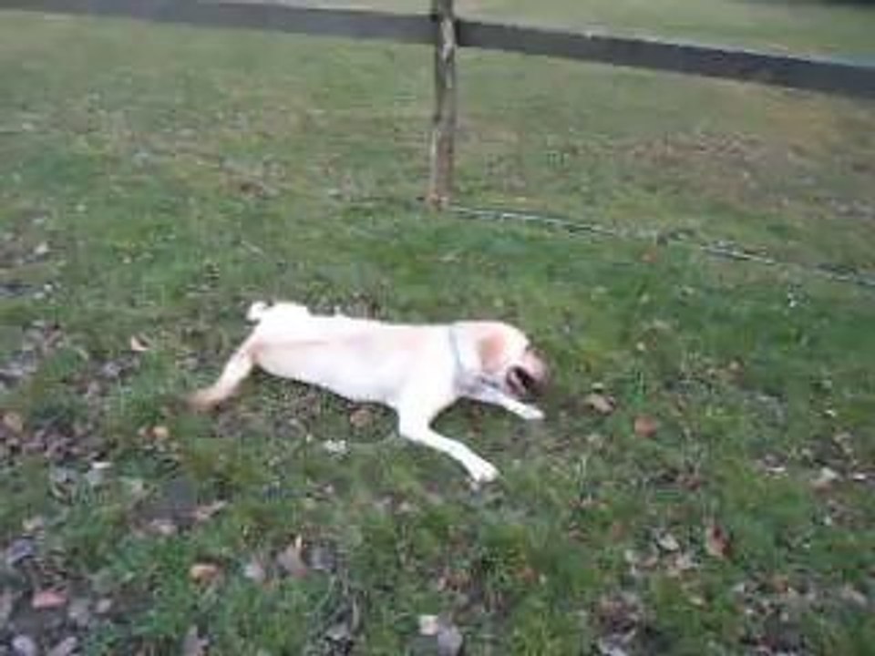 Honey - Janvier 2014 (2)