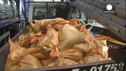 Maltempo in Europa e l'Inghilterra sott'acqua