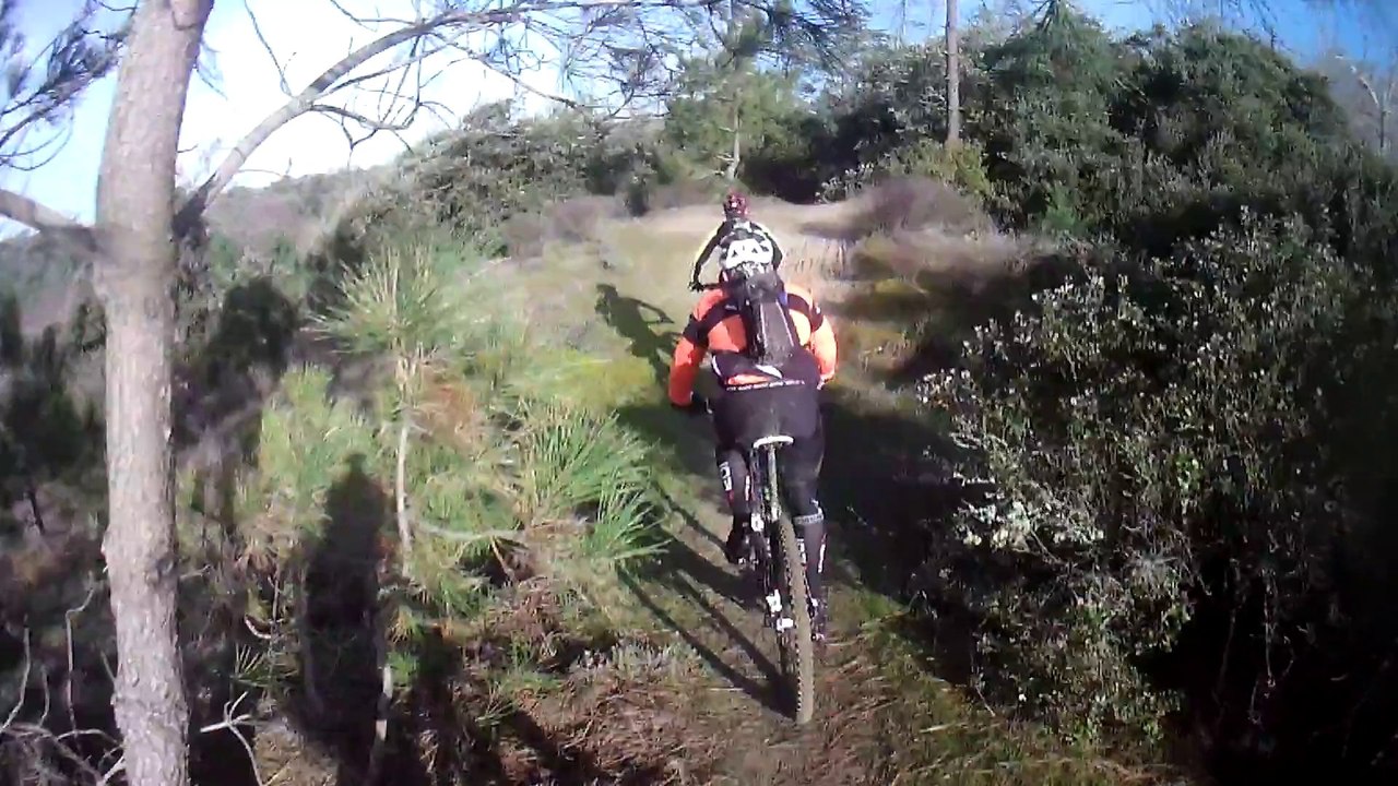 Rando des mimosas avec  les pedalous