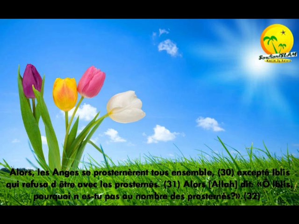 Sourate Al-Hijr récitée par shikh Al Ajami. Récitation très apaisante macha'Allah