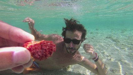 Vietnam - Indonésie 2013