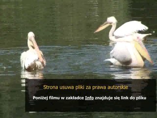 instrukcja telewizora samsung ue40eh5300