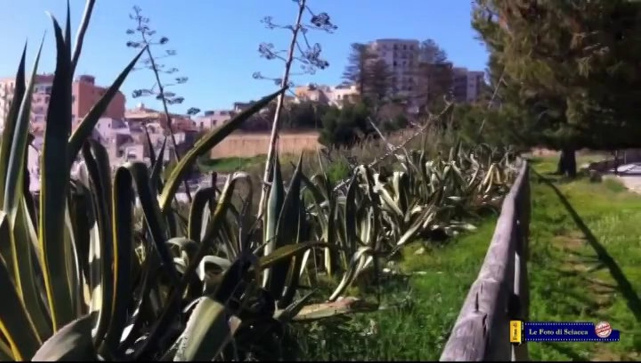 Sciacca tra porto e terme