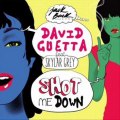 David Guetta Ft Skylar Grey - She Shot Me Down (Extended Mix) (2014) - YouTube