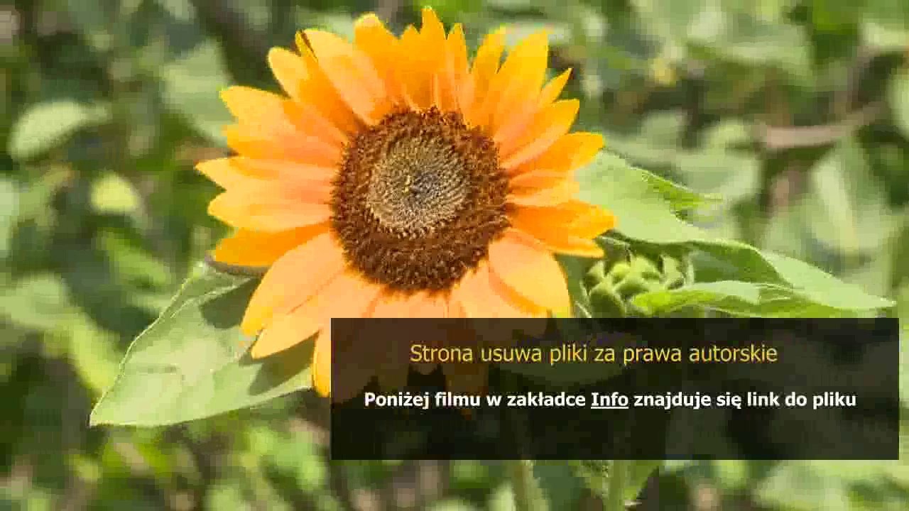 naturalny sposob na podkrazone oczy