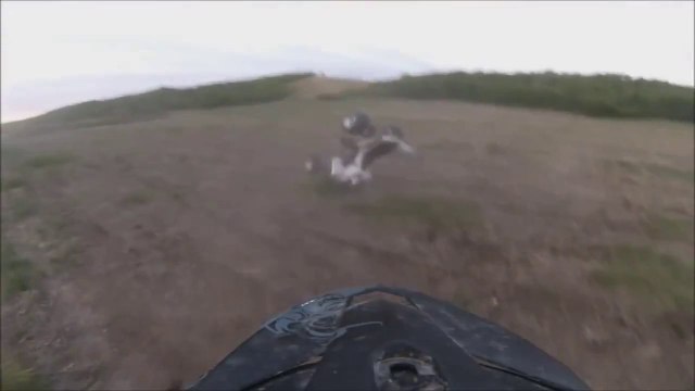 Raptor 350 ATV Wheelie FAIL