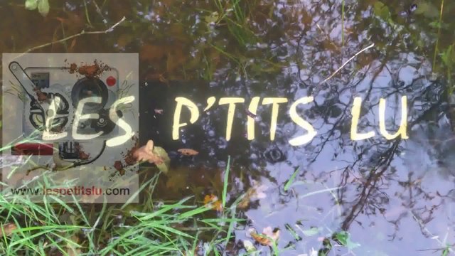 La rando de chez moi, Viennay, Gourgé, un P'tit lu