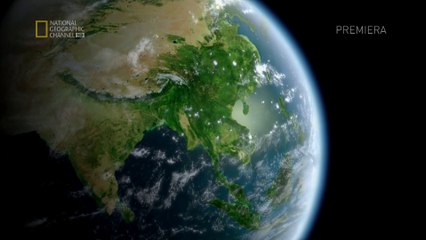 Narodziny zwierząt według Davida Attenborough.  Z morza w przestworza.