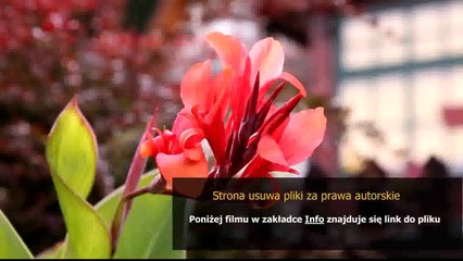 instrukcja zmywarka ariston li 42