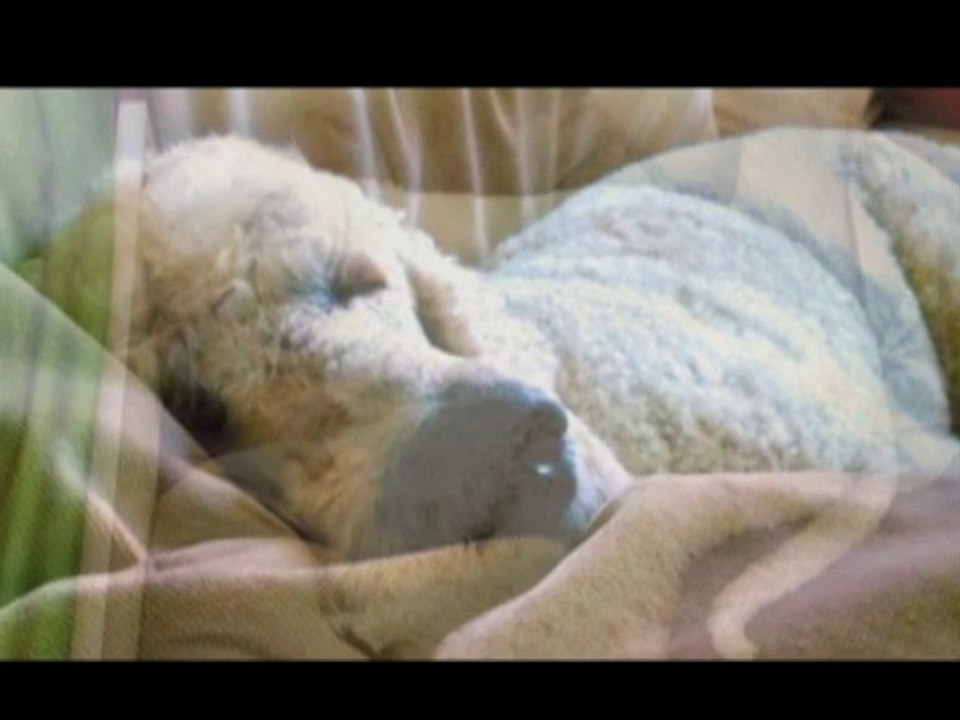 Da steht Albert ja mal gar nicht drauf...