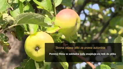 instrukcja eksploatacji urzadzen elektroenergetycznych