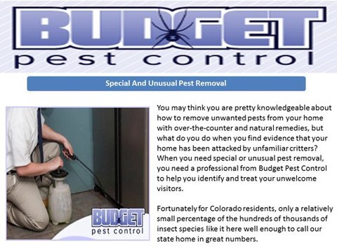 Budget Pest Control Centennial, CO 80112