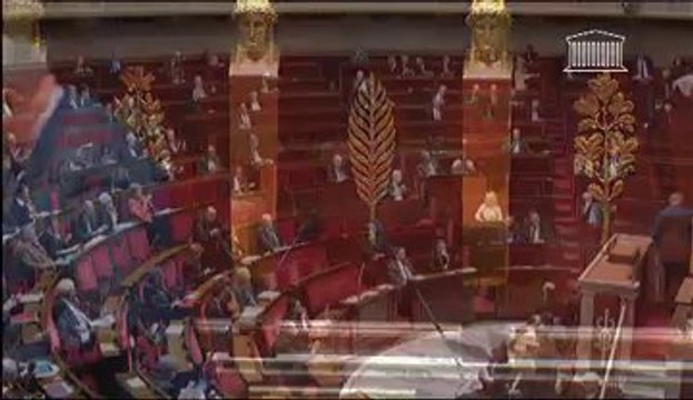 RATIFICATION DE LA CHARTE EUROPÉENNE DES LANGUES RÉGIONALES OU MINORITAIRES (vote solennel) - Mardi 28 Janvier 2014