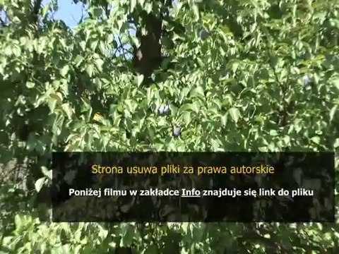 instrukcja obslugi pilota do telewizora sony bravia