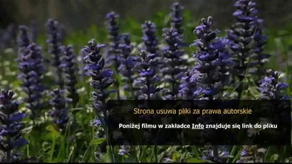 instrukcja bezpieczenstwa pozarowego porownaj ceny