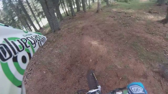 MTB CRASH - Park Rogla Line 1 - GoPro Helmet Cam