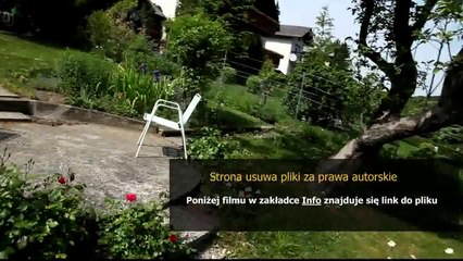 poradnik master yi league of legends