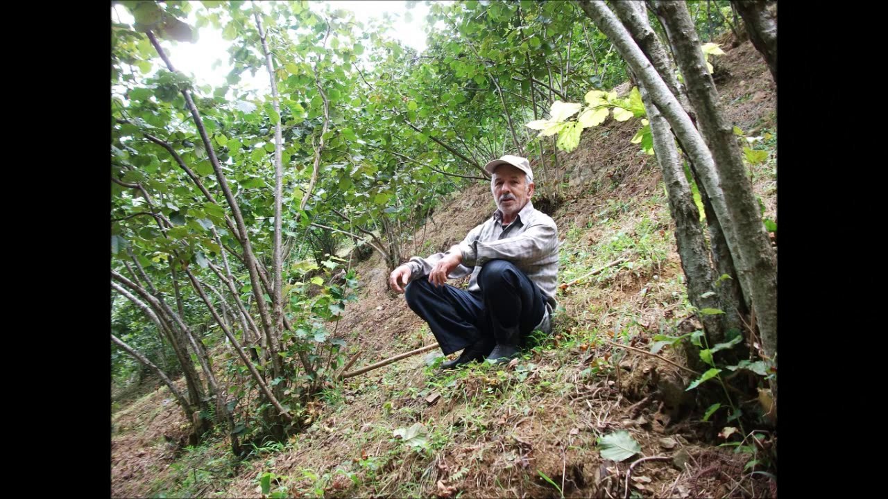 Aşık Nuri Yücel Gurbet İlit Köyü 2012 Dailymotion Video