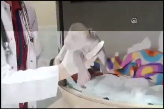 Zonguldak'ta bulunan yavru ayı 254 gram kilo aldı