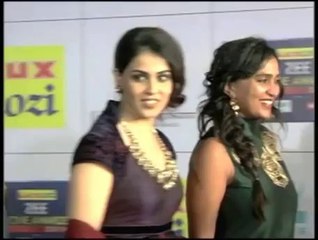 Zee Cine awards red carpet
