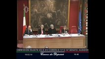 Roma - Cambiamenti climatici, audizione commissario europeo Hedegaard (10.02.14)