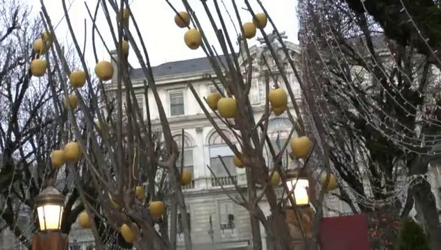 LES W-D.D. MICHOU NEWS - 21 DECEMBRE 2013 - NOEL PYRENEEN - LES CONTES DU BLANC MANTEAU..