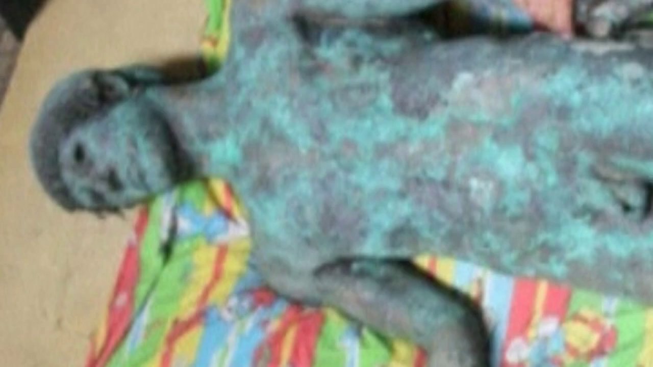 Greek god statue mystery: Bronze Apollo surfaces in Gaza