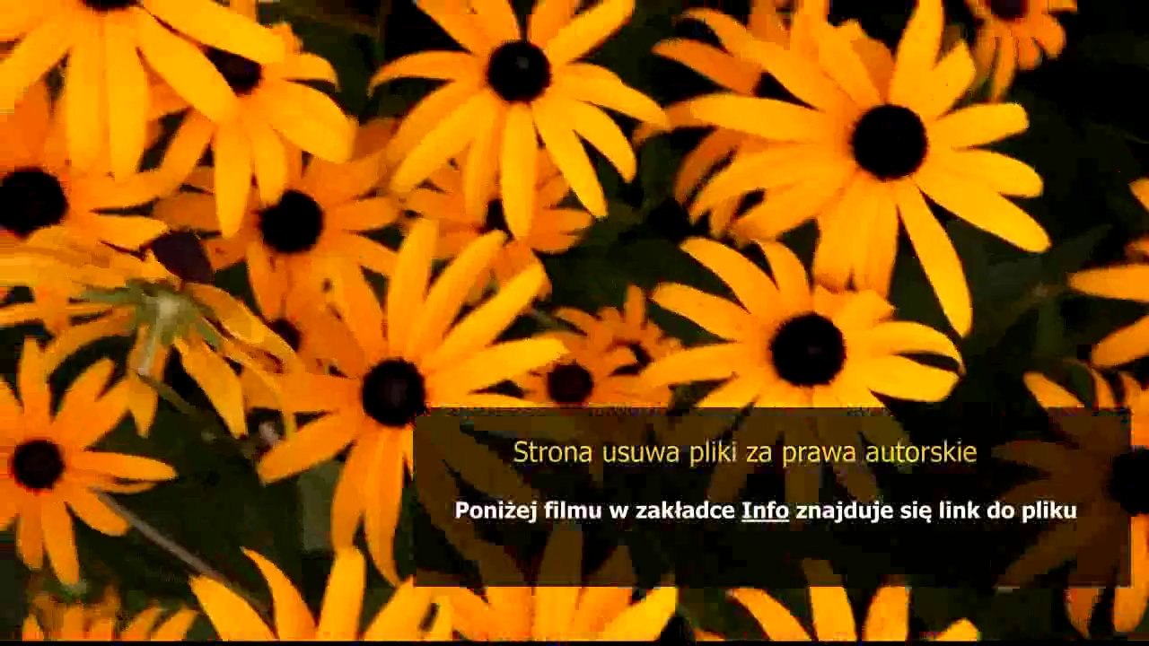 sposob na elektryzujace sie wlosy
