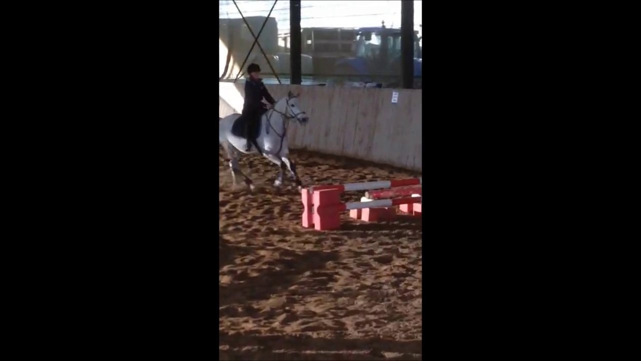 Voldemor challenge 2014