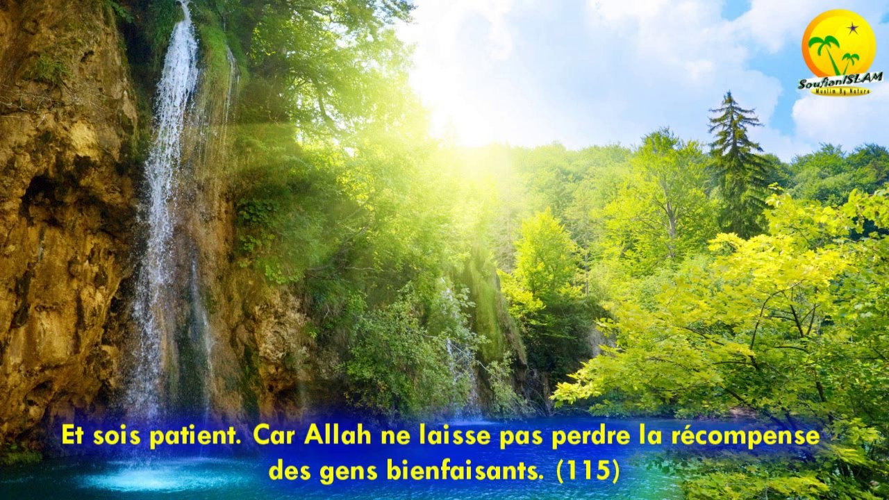 Récitation très apaisante macha'Allah.Sourate Hud. Shikh Shirzad Abd Alrahman (شيرزاد عبد الرحمن)