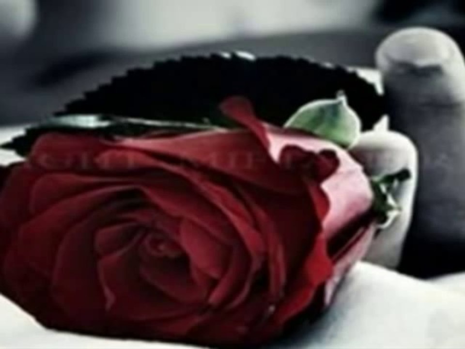 HoşcakaL Sevdiğim Benden Bukadar, KuL Mustafa Damar (SonAy)