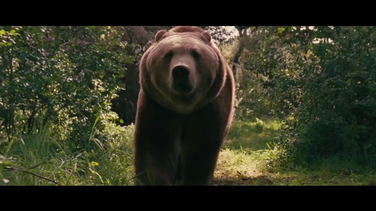 Düşler Bahçesi / We Bought A Zoo Sinema TV' de!