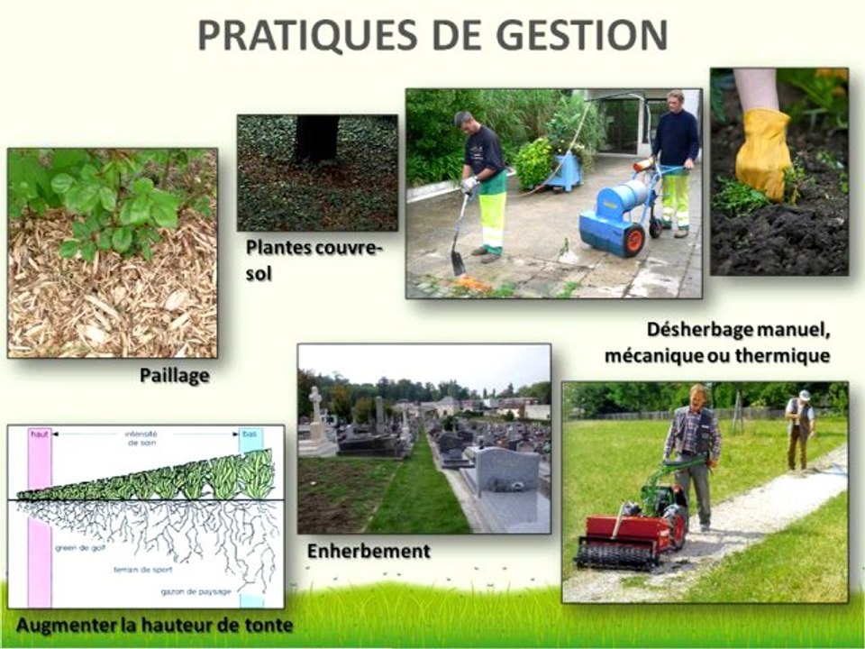 Nature en ville? Conférence Marc BARRA - Jonathan FLANDIN