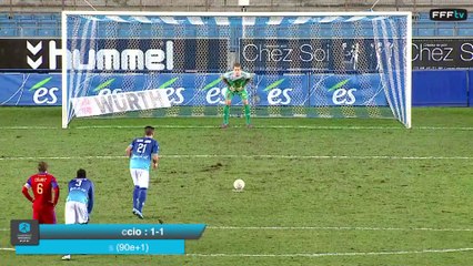 Championnat National - Journée 20 - Les buts