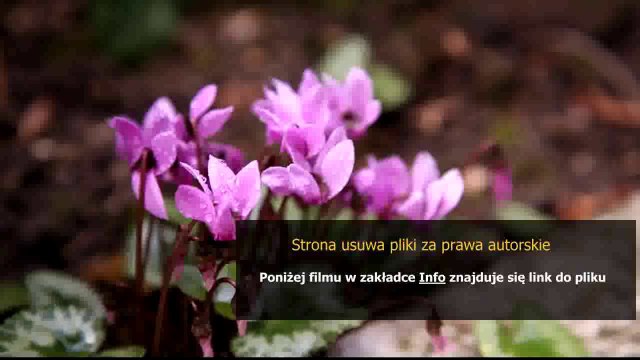 instrukcja zmywarki bosch silence plus