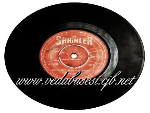 Şenay Şenses - Sana Bir Mektup Yazdım (1970 45 lik Plak)