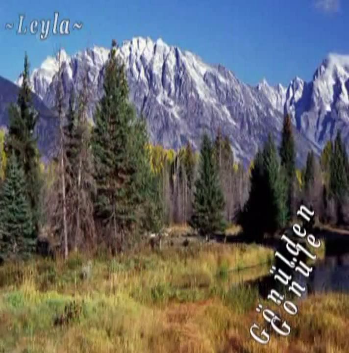 Şenay Şenses - Ayrılık Ateşten Bir Ok