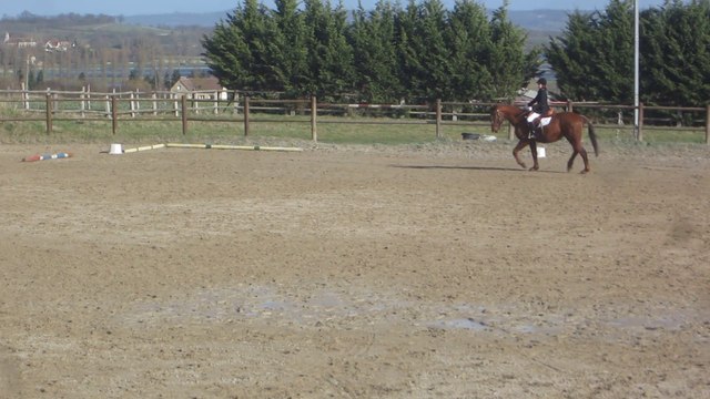 Louise et Lord premier concours de dressage