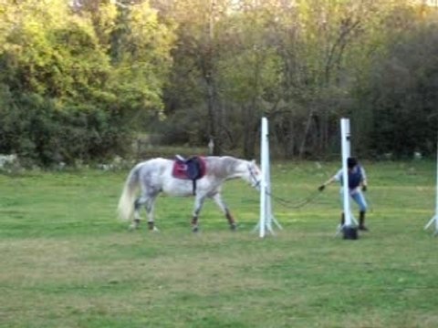 Branches basses en main