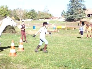 Branches basses Gim EM